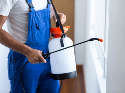 About Defendhaven Control - pest control experts in Aubrey